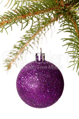 Christmas ball hanging from a branch of a fir tree