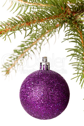 Christmas ball hanging from a branch of a fir tree