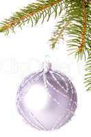 Christmas ball hanging from a branch of a fir tree