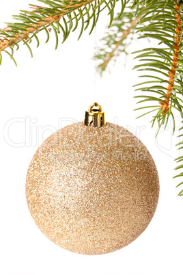 Christmas ball hanging from a branch of a fir tree