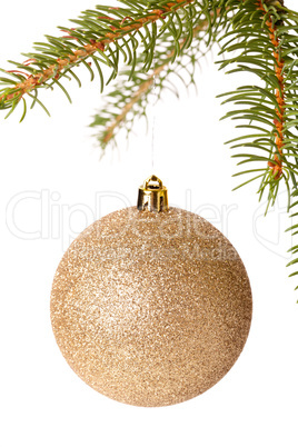 Christmas ball hanging from a branch of a fir tree