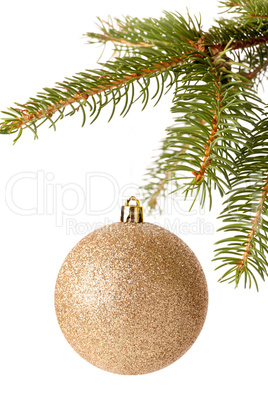 Christmas ball hanging from a branch of a fir tree