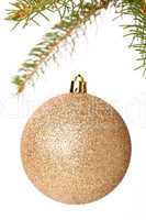 Christmas ball hanging from a branch of a fir tree