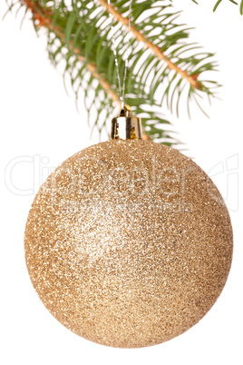 Christmas ball hanging from a branch of a fir tree