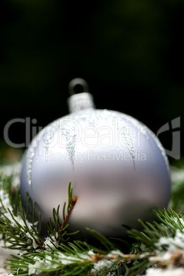 Silver Christmas ornaments in leaves