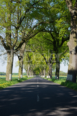 Bundesstrasse im Frühling, Deutschland