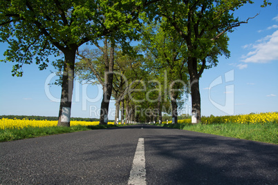 Bundesstrasse im Frühling, Deutschland