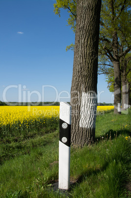 Bundesstrasse im Frühling, Deutschland