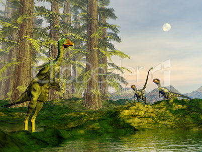 Caudipteryx and dilong dinosaurs - 3D render