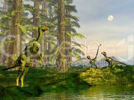 Caudipteryx and dilong dinosaurs - 3D render