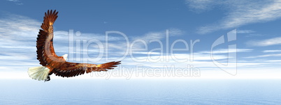 Eagle flying - 3D render