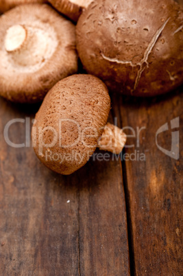 shiitake mushrooms