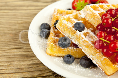 fresh tasty waffer with powder sugar and mixed fruits