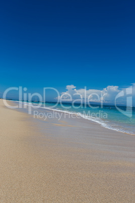 Beautiful tropical beach with lush vegetation