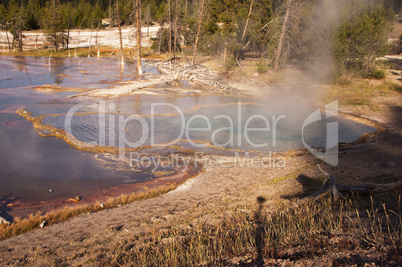 Yellowstone Nationalpark, Utah, USA