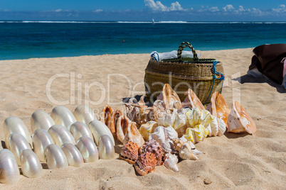 Conchs and seashells for sale on a beach