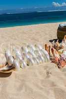 Conchs and seashells for sale on a beach