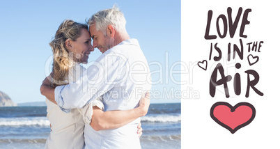 Composite image of happy couple on the beach touching faces