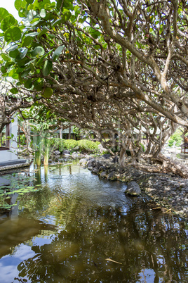 Ornamental fountain