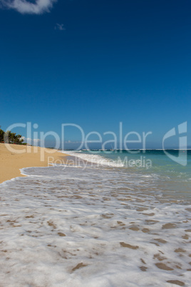 Beautiful tropical beach with lush vegetation