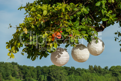 Three paper lanterns hanging form a tree