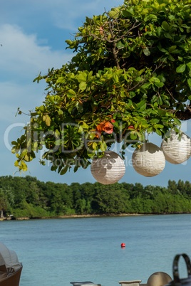 Three paper lanterns hanging form a tree