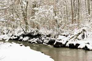 forest and field  winter landscape