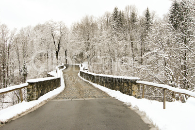 forest and field  winter landscape