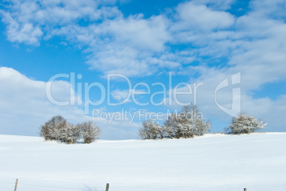 beautiful sunny landscape in winter with blue sky