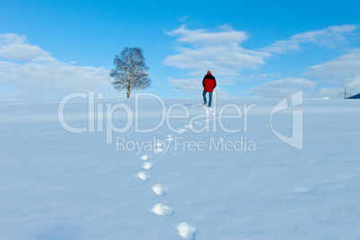 beautiful sunny landscape in winter with blue sky