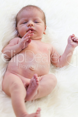 Small baby lying in fur