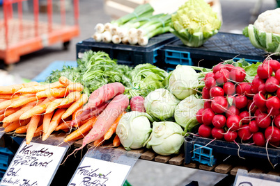 fresh healthy vegetables on market