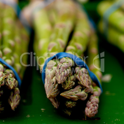 fresh seasonal asparagus on market