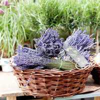beautiful violet lavender bouquet in basket