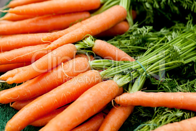 fresh orange carrots on market in summer