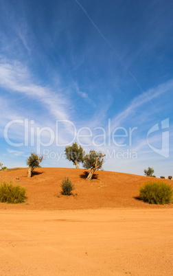 Scenic desert landscape