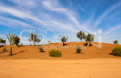 Scenic desert landscape