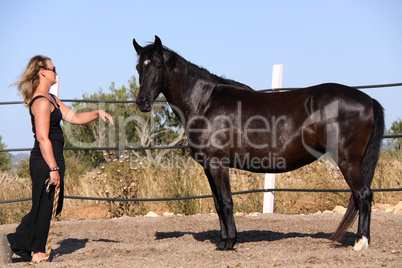 young woman training horse outside in summer