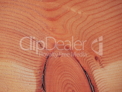 Larch wood background