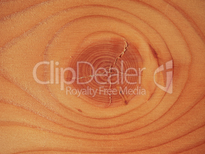 Larch wood background