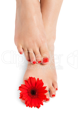 Woman with beautiful red manicured nails