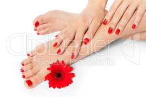Woman with beautiful red manicured nails