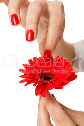 Beautiful hands of an elegant woman