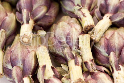 fresh healthy artichoke plant macro