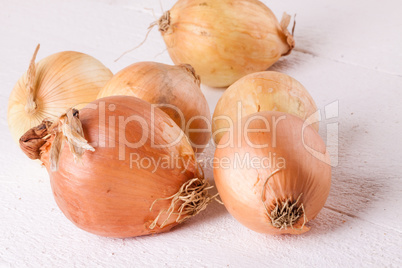 Small fresh brown onions