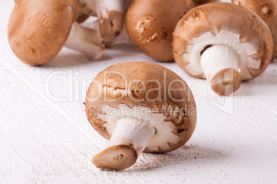 Fresh brown portobello or agaricus mushrooms