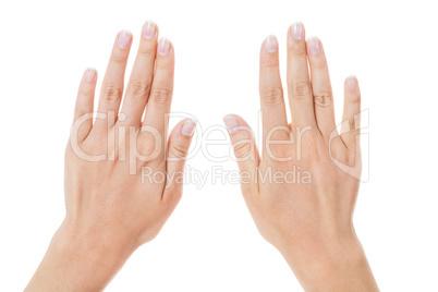 Sensual female hands isolated on white