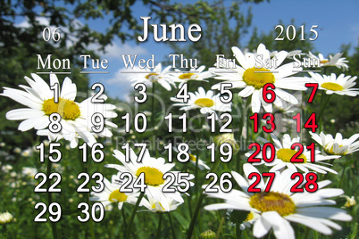calendar for the June of 2015 on the background of camomiles