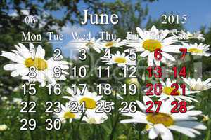 calendar for the June of 2015 on the background of camomiles