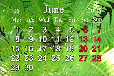 calendar for the June of 2015 on the background of fern